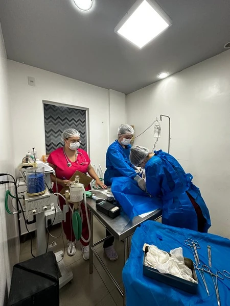 Atendimento animal aberto 24 horas