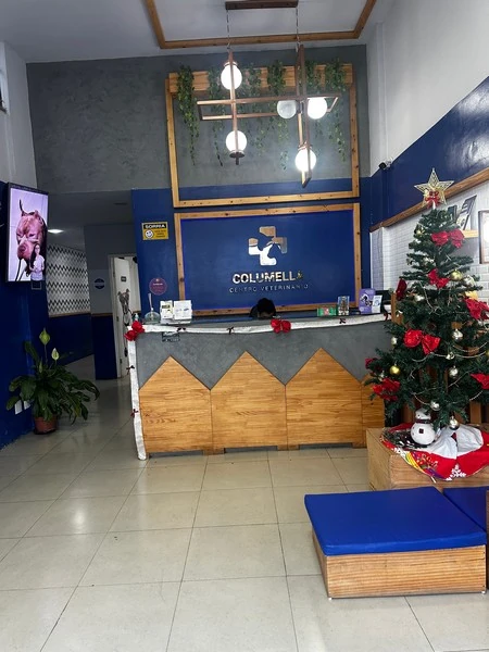 Clínica cirúrgica de pequenos animais em São Pedro