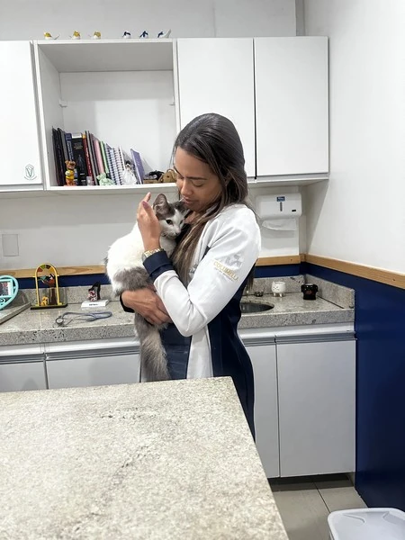 Consulta de animais em São Pedro