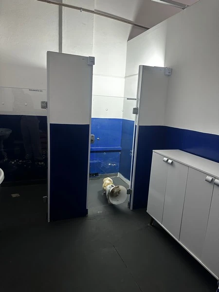 Internação veterinária urgente